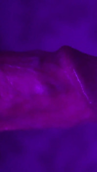 My Stepsister Sucks My Big Dick
