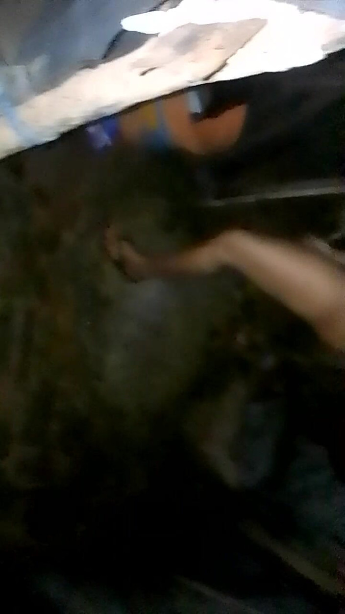 Janua294: Sora vecinului își face plăcere în timp ce se noaptea, videoclip nou