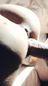 Babysitter Creampie After Night Out