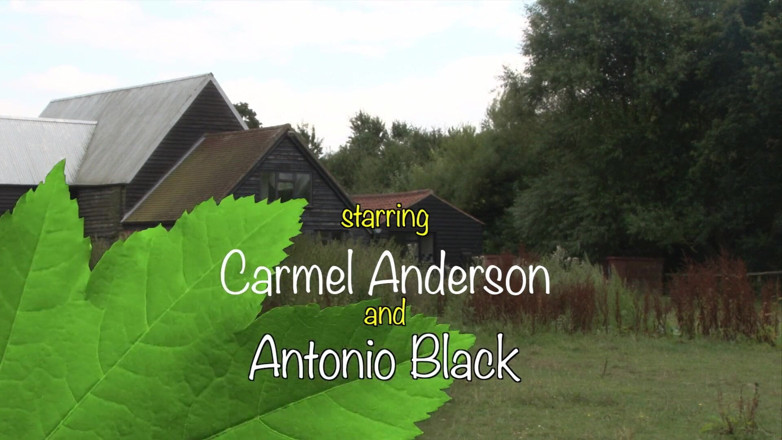 Rock Charogne: Carmel Anderson di Ladang