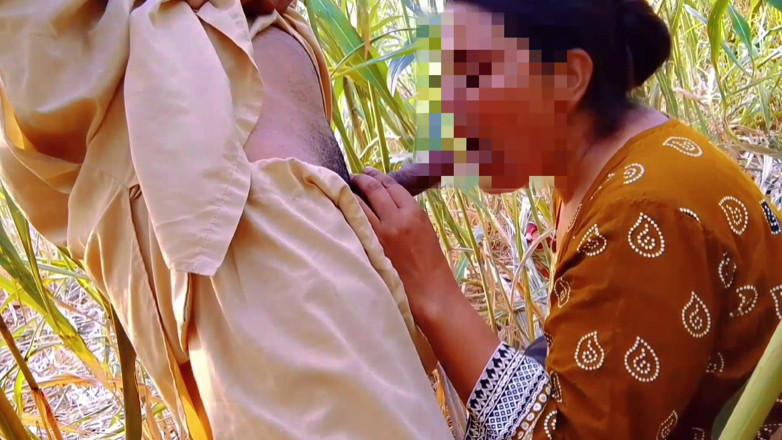 Abida sexy: Desi Couple