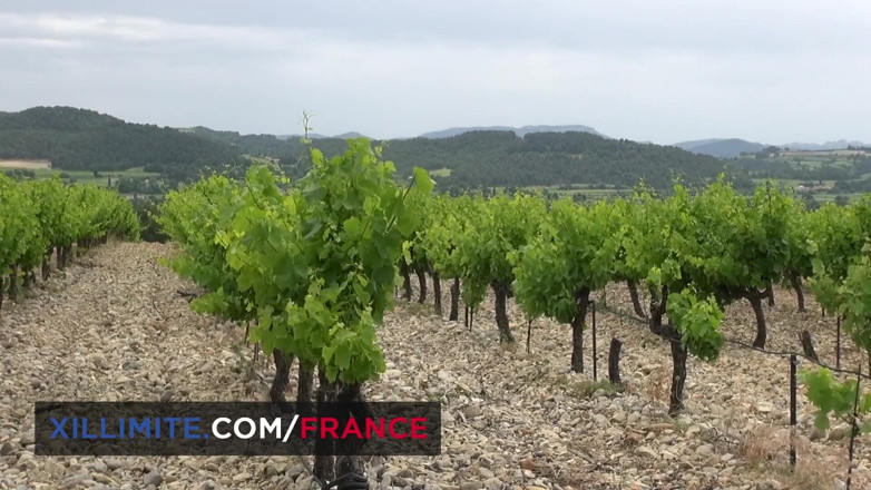 Made In France: Outdoor sex in the vineyards