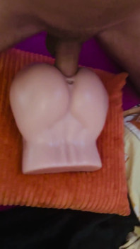 Muscle Bi