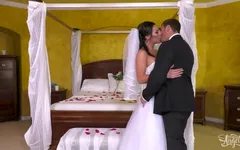 Trans Angels - noiva corando Chanel Santini com apetite voraz por pau - Secretamente Chanel e O Melhor Homem
