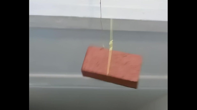 The BronX: Nur eine nymphomanin!! - Vol. nr. 05