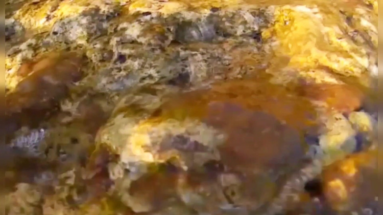 Risky Hairy Couple: Stavo pescando sott'acqua ma invece di pesce ho incontrato una...