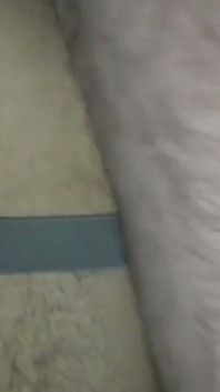 Vadia é reutilizada bunda de gozo