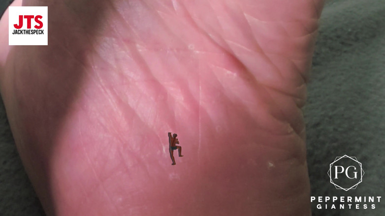 Peppermint Giantess: Service Sizes POV Tiny Men Worship Giantess Feet