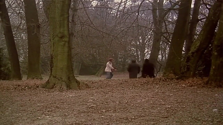 Euro Blue Movies: Похоть Витве (1995)