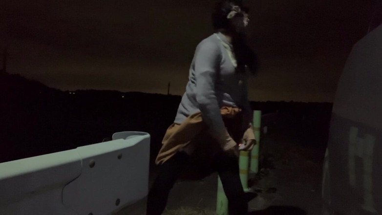 megu2002: Pelatihan Mandiri No32 Doggy Pose saat Jalan-jalan Malam