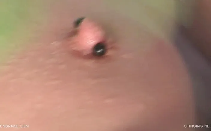 Queen Snake: Stinging nettle duct taped to my pierced pussy