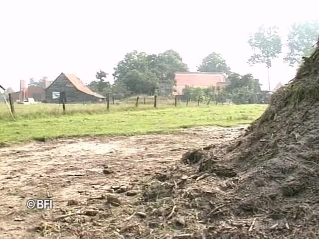 Naughty by nature in Holland: DVD Xkiss - Polder sex