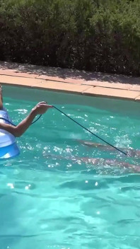 Berenang