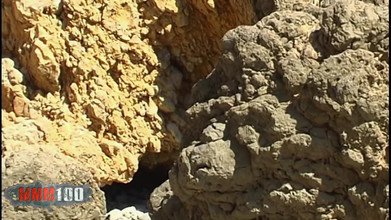 MMM100: Judith-fox Pornostar Teen Judith Fox Doing a Hot Striptease on...