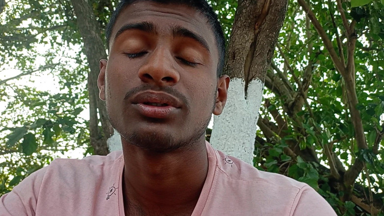 LinearOrnament35: Mluvící video