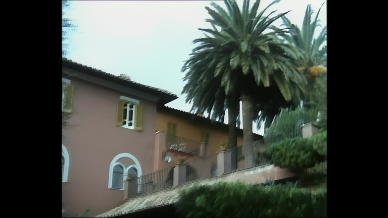 The Unforgettable: 다시 함께하는 모아나와 밀리