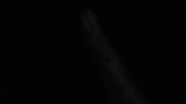 Hunky time: Leder Alpha Dominiert