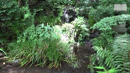 Japanese Hentai Matings: Zakázaný horký pramen - Shiori, 25, vdaná žena - 1