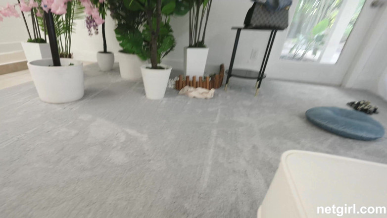 Net Video Girls: Latina con culo perfetto ama il sesso anale