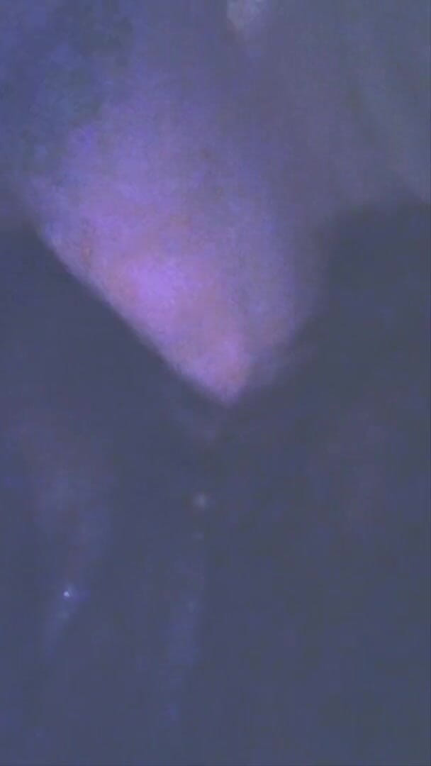 Sir sucks a lot: Monster white dildo making me squirt like a bitch