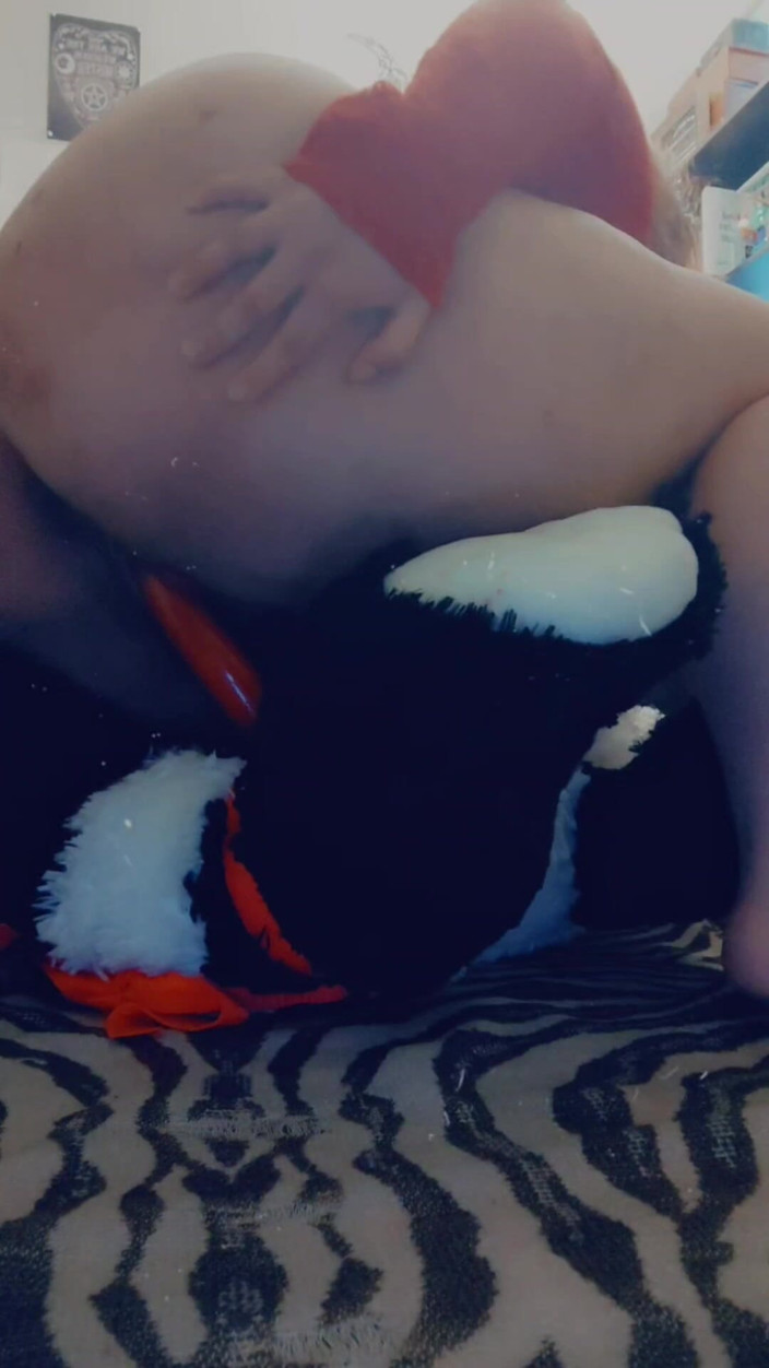 Domina Succubus: Fucking My Panda Stuffie (strap on)