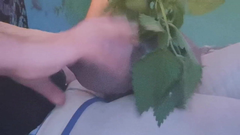 Monster_Meat_: Cuming with help with nettles