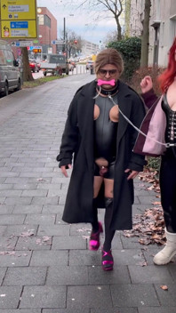 Exhibitionist Domme & Humiliated Sub: Queen Elena Flashes, Then Gags & Walks Sissy Femme Sandy