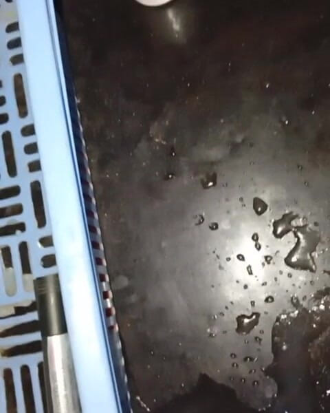 Badman4606: Savage il più grande cazzo nero africano