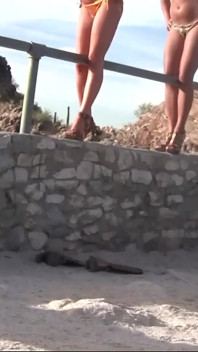 Trei fete în bikini pe un munte se dezbracă și se joacă între ele