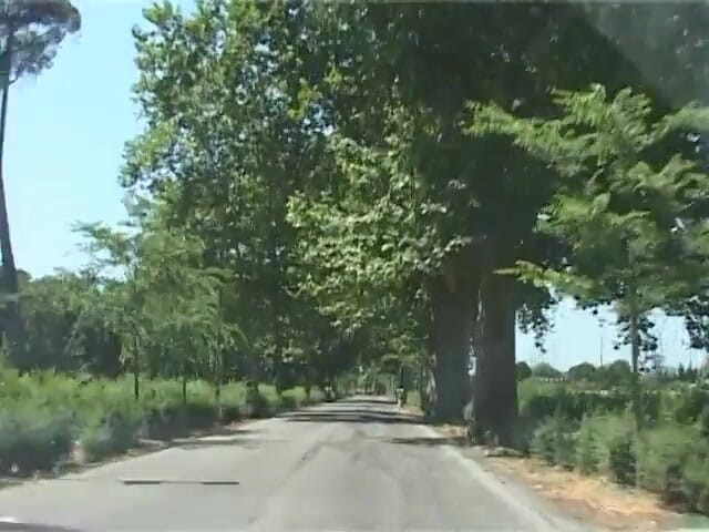 King Of Amateur: このチンコを取って走って