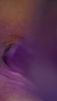 Purple Giant