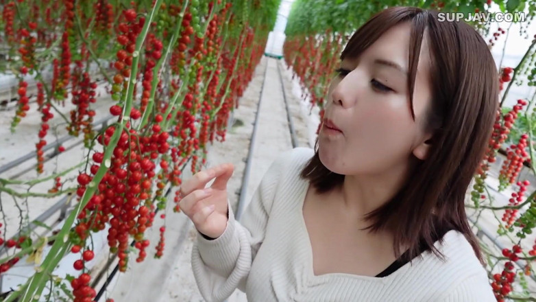 Studio Modern Shunga - JAV: Asian angel 7402