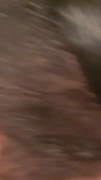 Deepthroating the King of Deepthroat: Deepthroatxxxxl