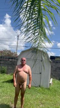 Desnudo Público