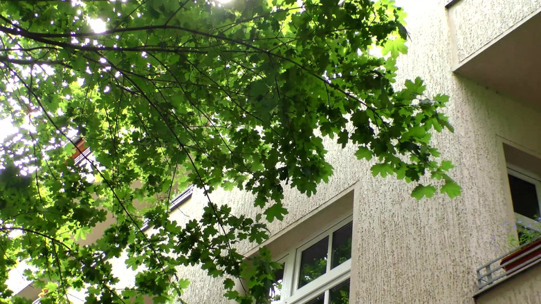 MMV BEST MOVIES AND CLIPS: Blocco in Appartamento Sporco Pieno Di Inquilina Cazzo Crudo!