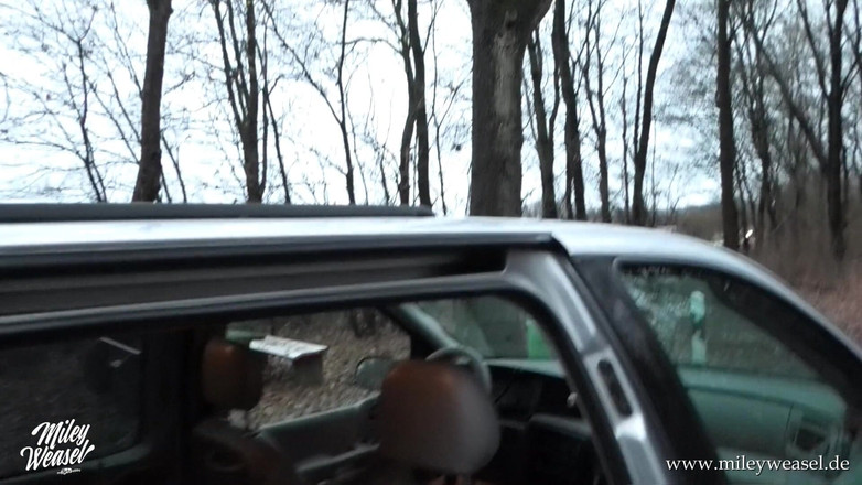 Miley Weasel: Loira alemã gostosa é fodida em público