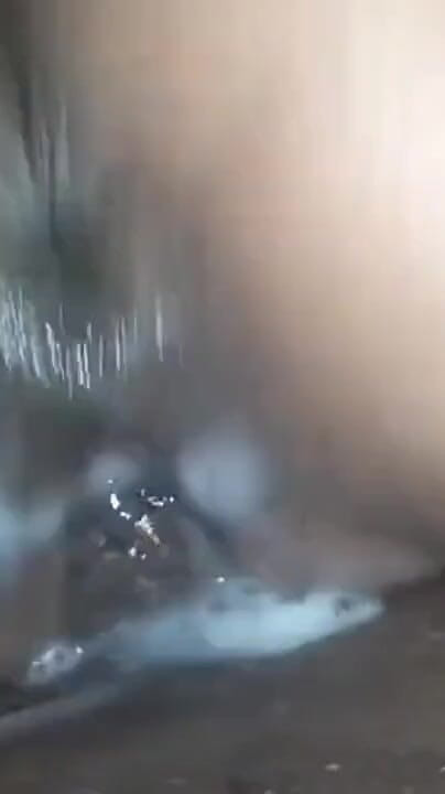 Close-up Fetish. Juicy Pussy Dripping Slow Motion (Susant1996)