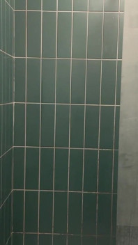 I Give Myself a Good Wank in My Friend's Shower