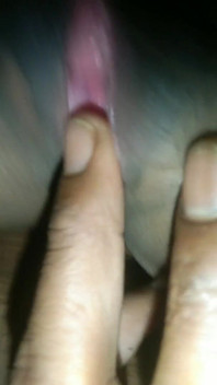 Pussy
