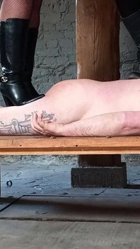 Mein Neuer Teppich