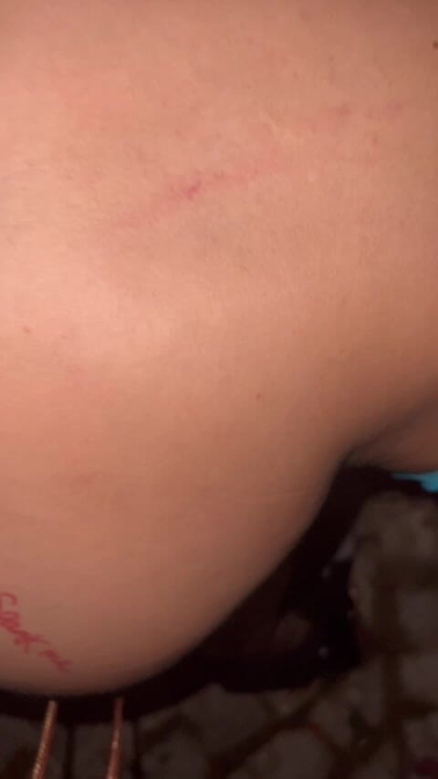 The irish bull: Scopata nel giardino sul retro