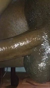 Acariciando mi bbc con guante de látex lubricado