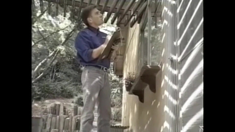 Bisco Birchwood Productions: 淫乱巨乳妻たちが唾焼かれ!