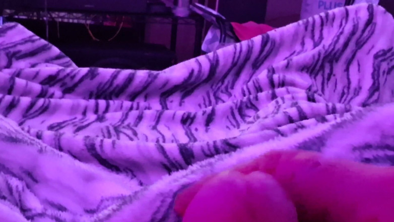 Pantygee: Nadržená v mém fialovém oblečení