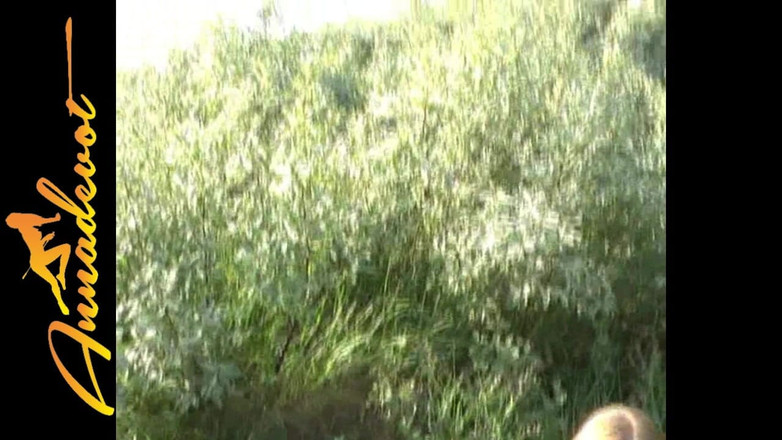 Anna Devot: Nejlepší - snachou