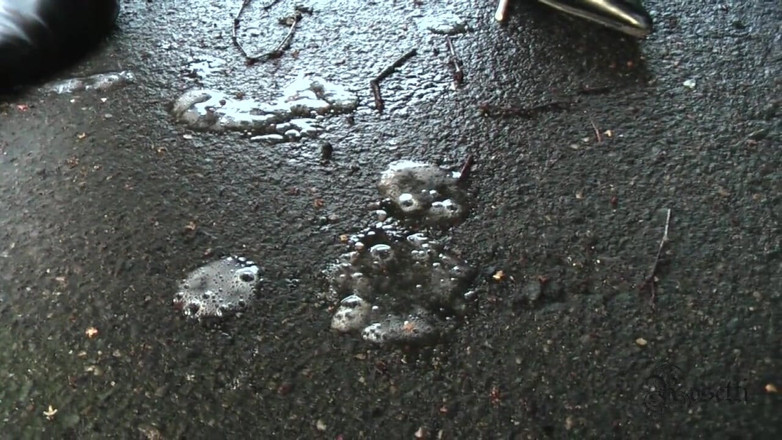 Rosetti: Outdoor face fucking