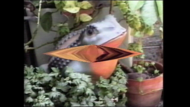 Vintage megastore: 丰满的饥渴熟女在被干之前很满足地吮吸大鸡巴