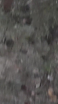 El primer día que nos conocimos, ella lamió mi coño en un parque público