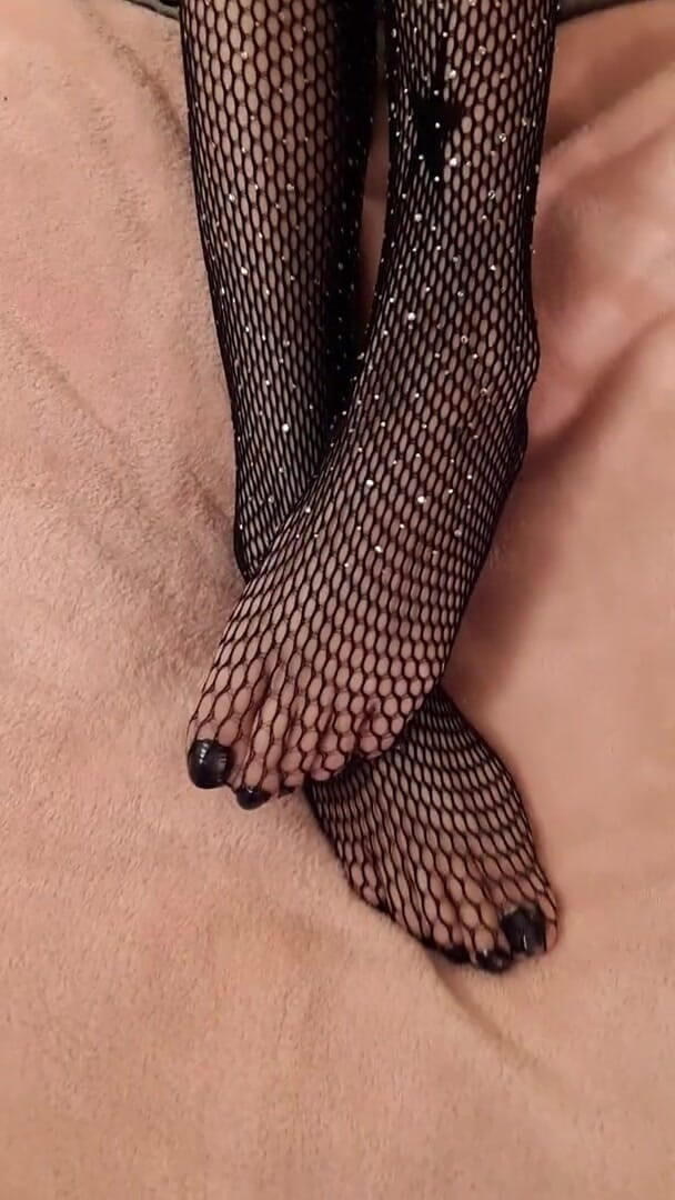 Gh0st781: Piggies in the net and a kitty cameo