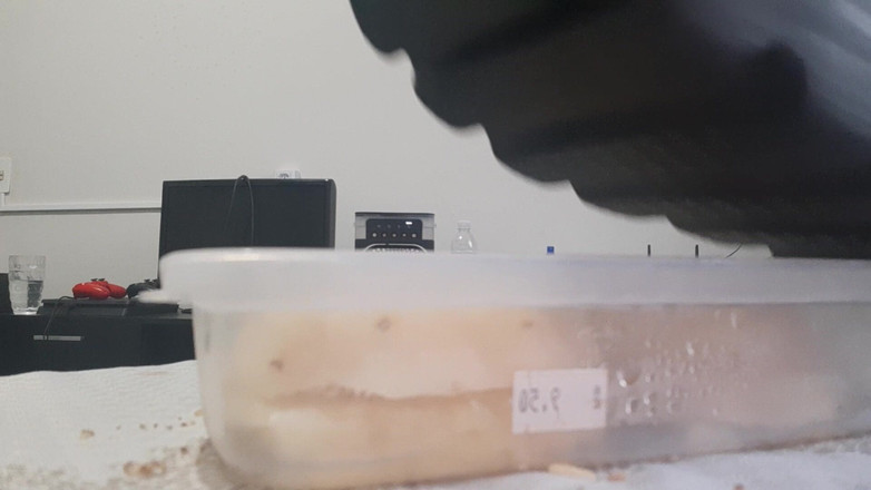 Bladexfeet: Nghiền dứa bằng ủng